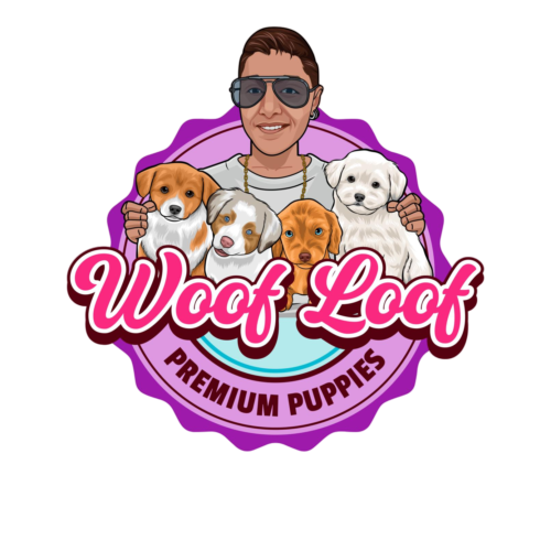 woof-loof-01-1_prev_ui