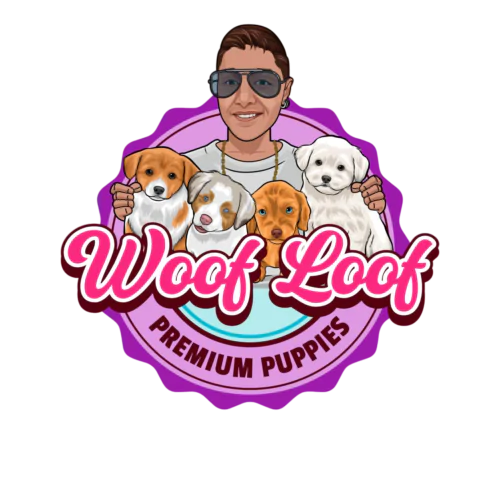 woof-loof-01-1_prev_ui